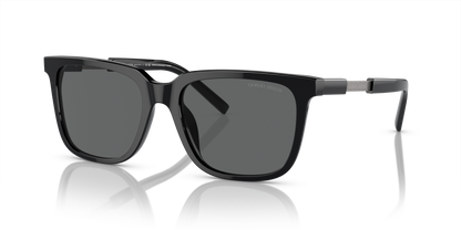 GIORGIO ARMANI AR8202U 587587 55