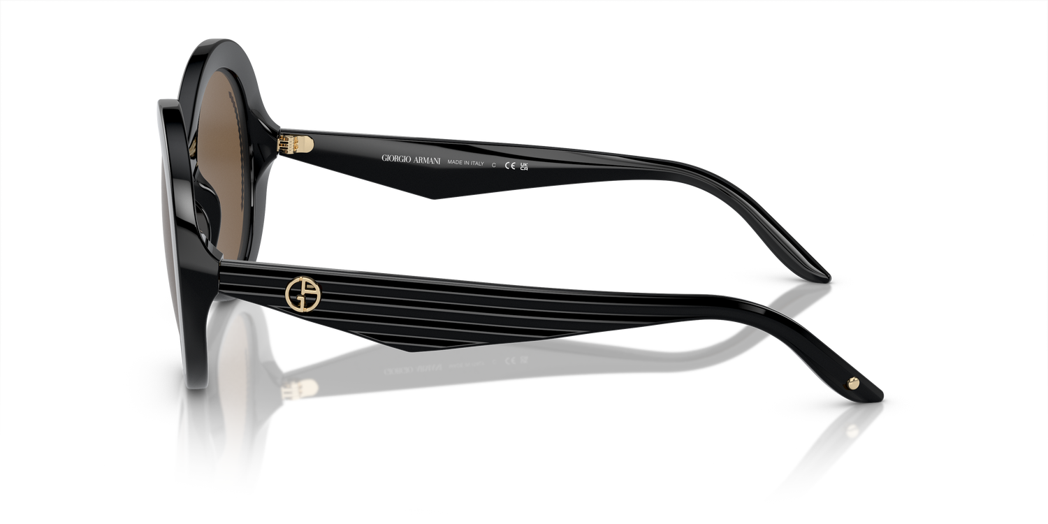 GIORGIO ARMANI AR8204 500173 53