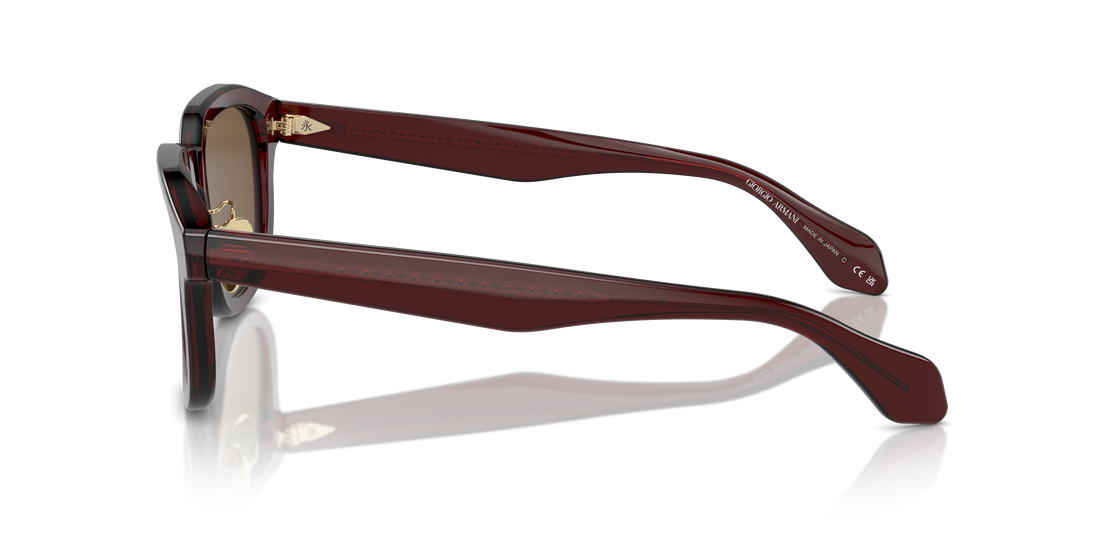 GIORGIO ARMANI AR8206 606273 51