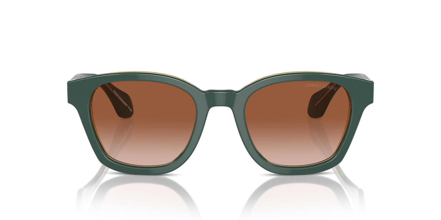 GIORGIO ARMANI AR8207 608613 50