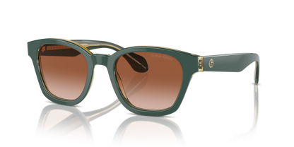 GIORGIO ARMANI AR8207 608613 50