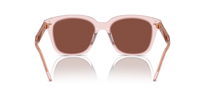 GIORGIO ARMANI AR8210U 6073C5 52