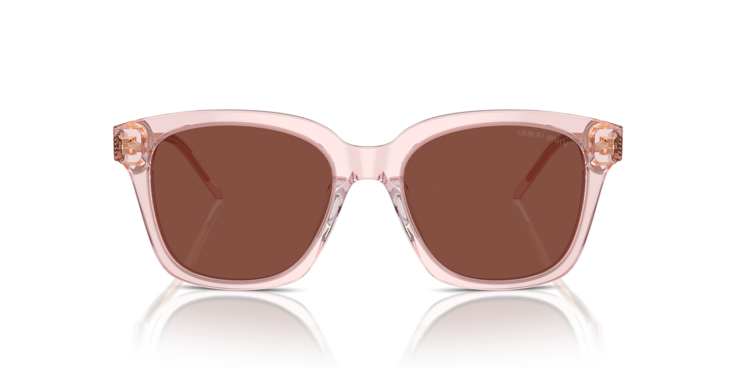 GIORGIO ARMANI AR8210U 6073C5 52