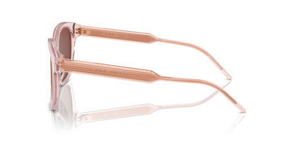 GIORGIO ARMANI AR8210U 6073C5 52