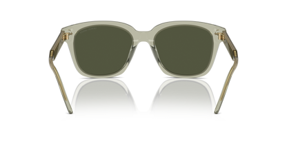 GIORGIO ARMANI AR8210U 608331 52