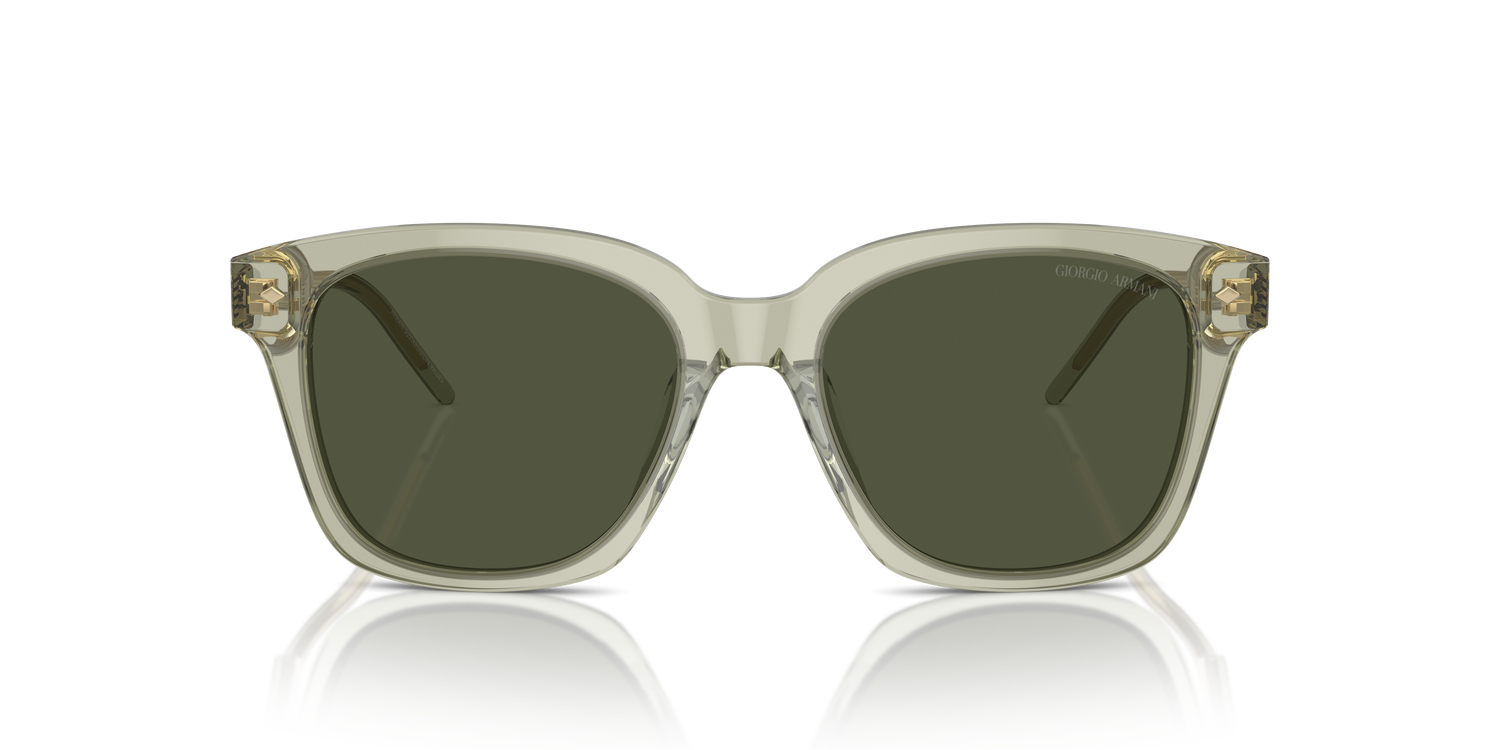 GIORGIO ARMANI AR8210U 608331 52