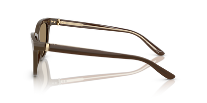 GIORGIO ARMANI AR8221 595753 55