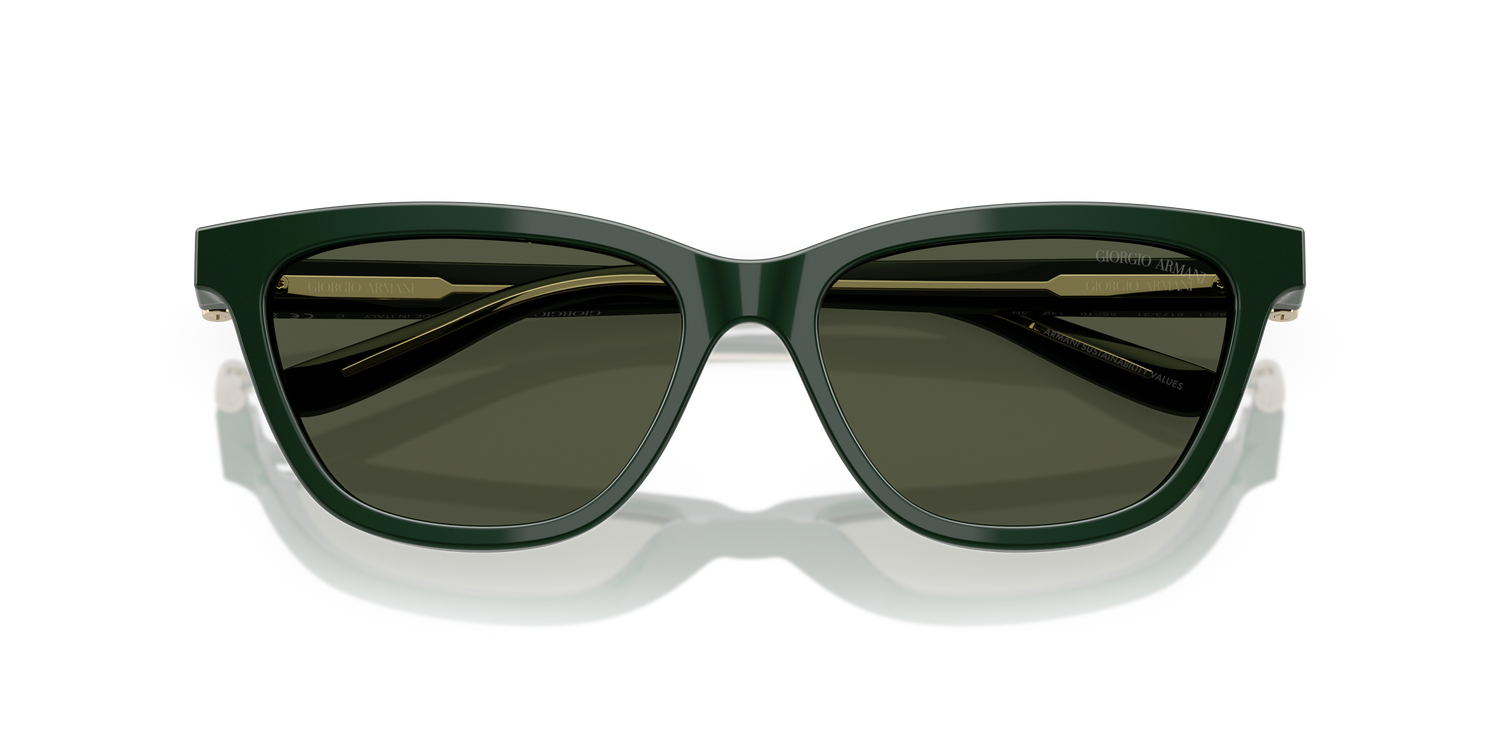 GIORGIO ARMANI AR8221 617331 55