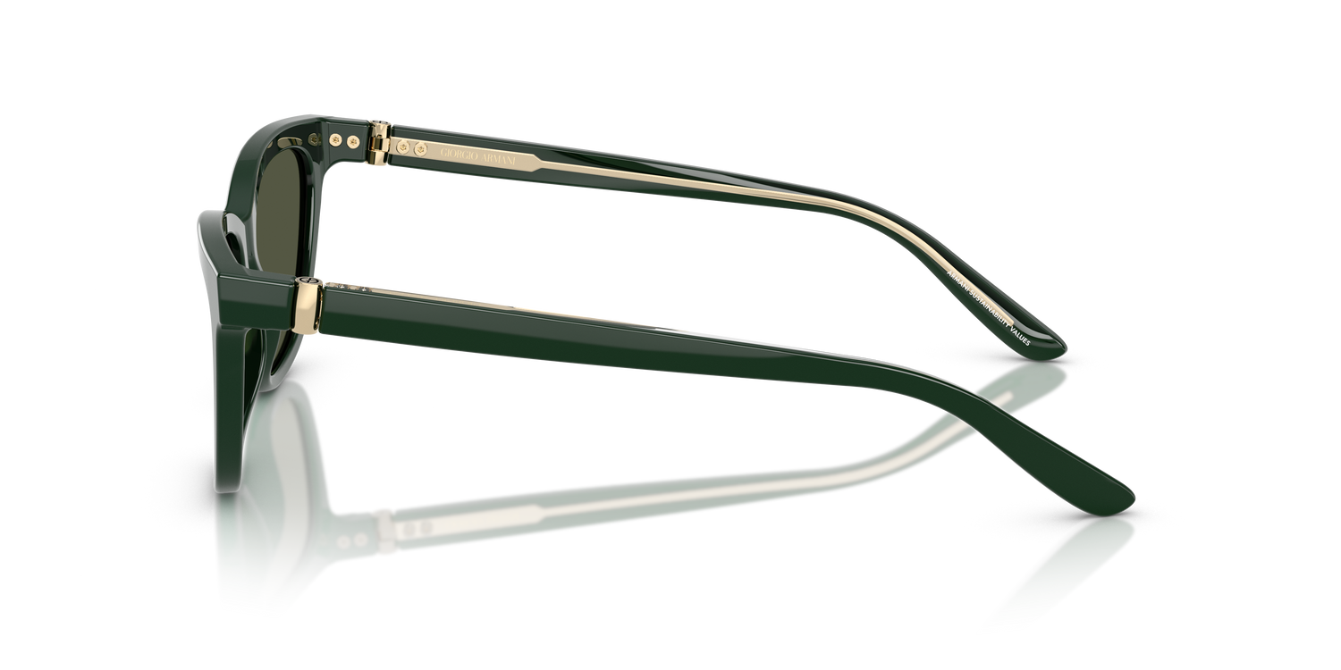 GIORGIO ARMANI AR8221 617331 55