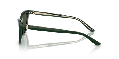 GIORGIO ARMANI AR8221 617331 55