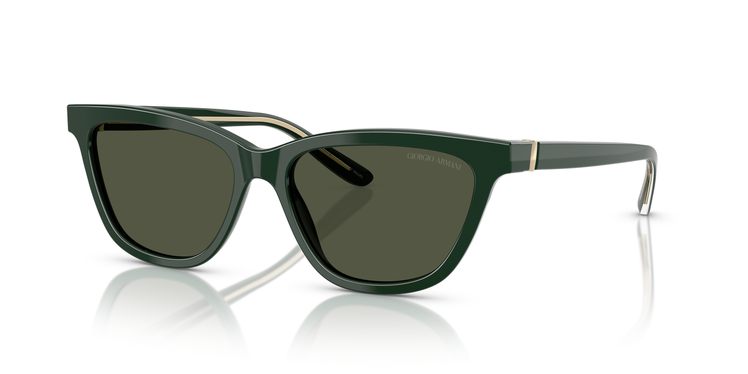 GIORGIO ARMANI AR8221 617331 55