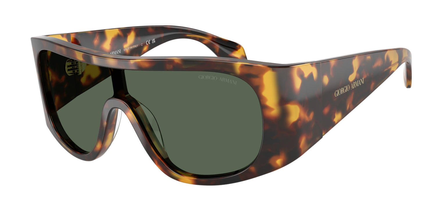 GIORGIO ARMANI AR8222U 509271 24