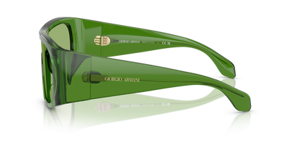 GIORGIO ARMANI AR8222U 6191/2 24