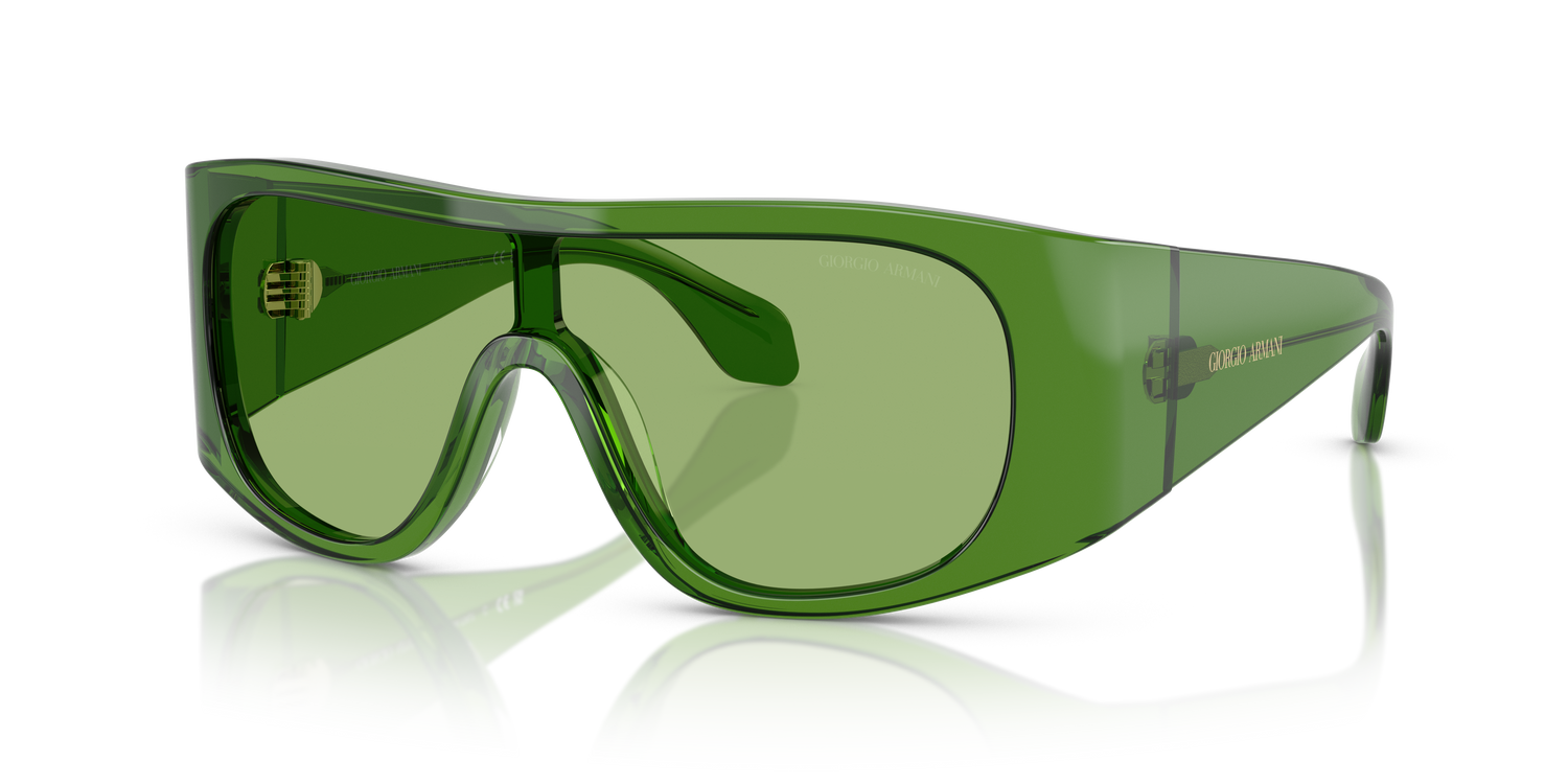 GIORGIO ARMANI AR8222U 6191/2 24