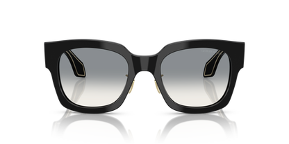 GIORGIO ARMANI AR8223 500111 51