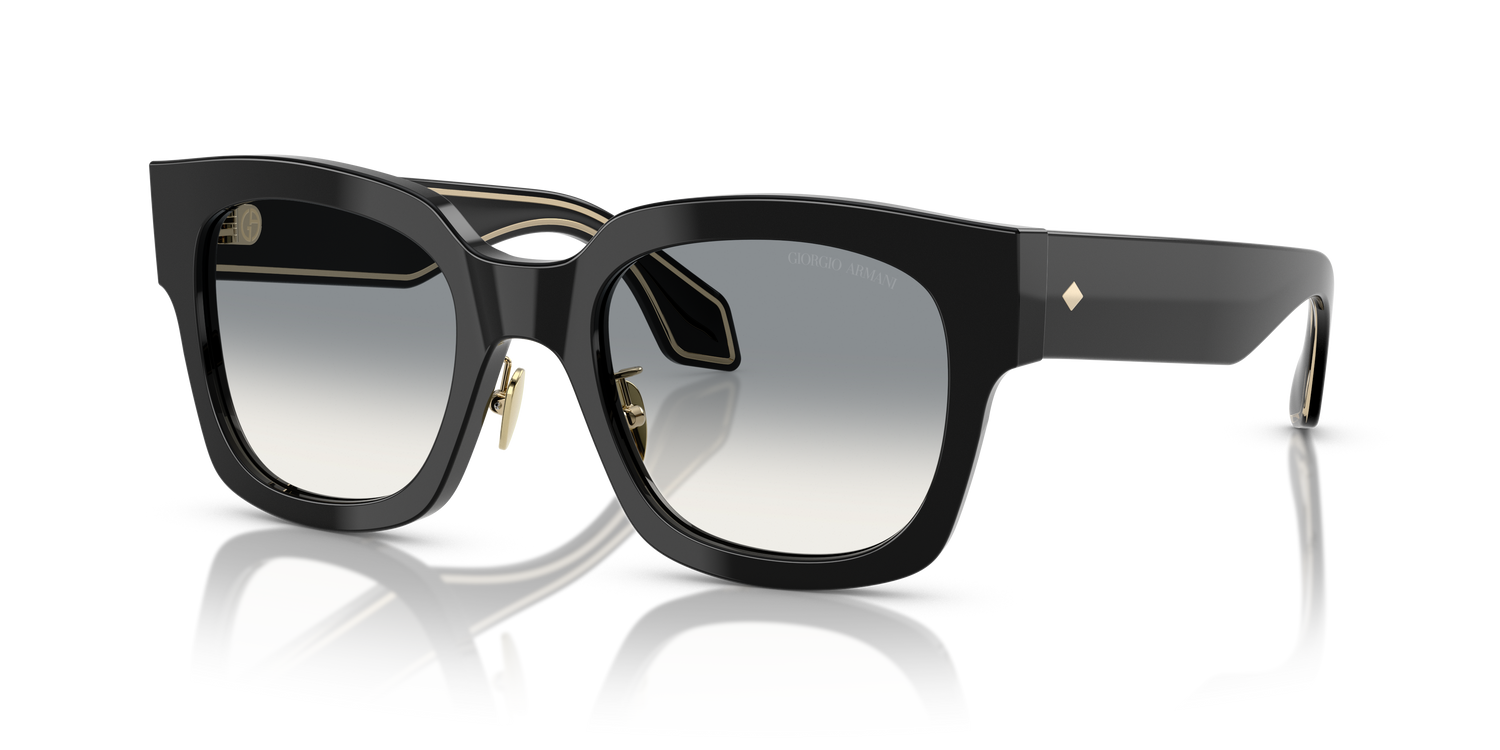 GIORGIO ARMANI AR8223 500111 51