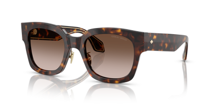 GIORGIO ARMANI AR8223 502613 51