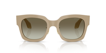 GIORGIO ARMANI AR8223 61618E 51