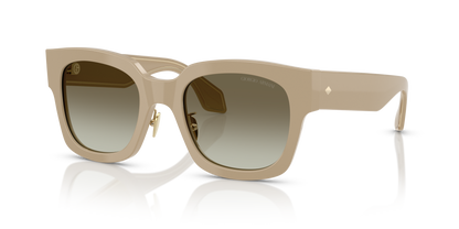GIORGIO ARMANI AR8223 61618E 51