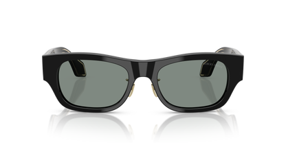 GIORGIO ARMANI AR8224 500111 52