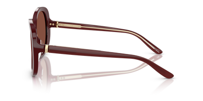 GIORGIO ARMANI AR8229U 5955C5 55