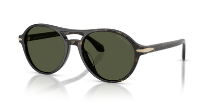 GIORGIO ARMANI AR8236U 623352 55