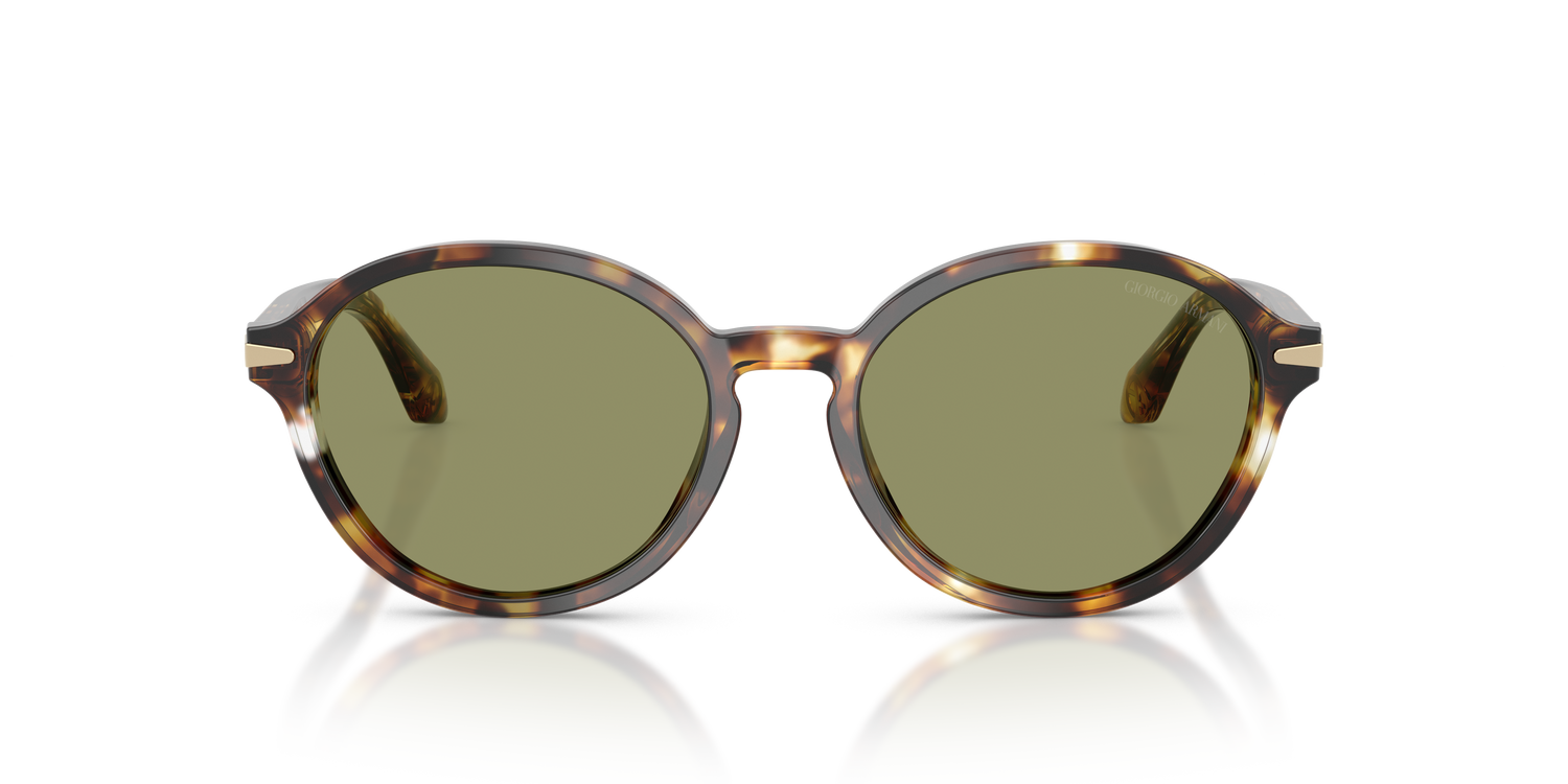 GIORGIO ARMANI AR8237 623214 53