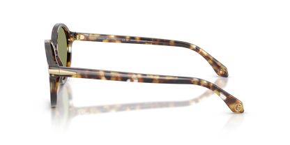 GIORGIO ARMANI AR8237 623214 53