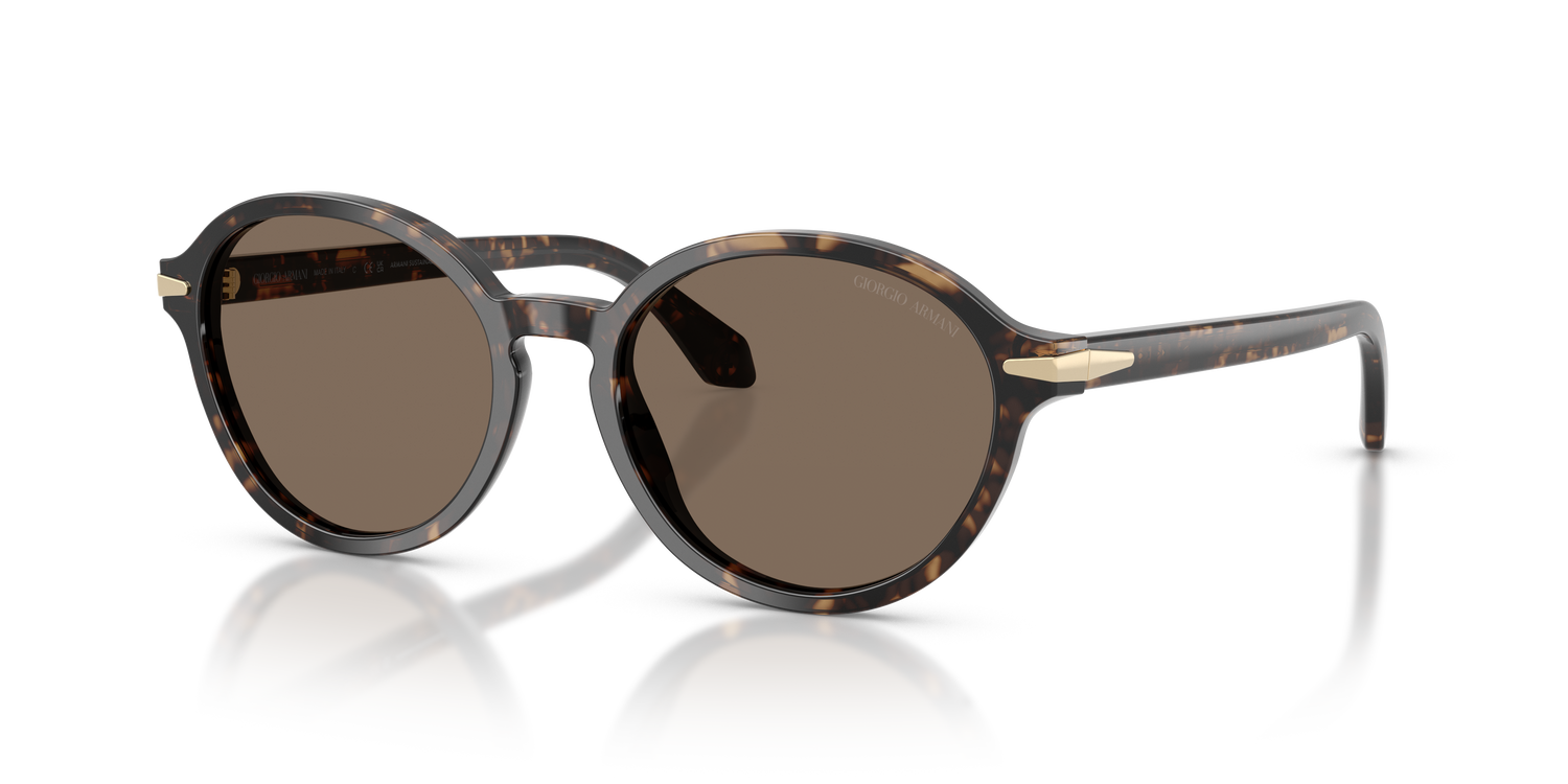 GIORGIO ARMANI AR8237 623573 53