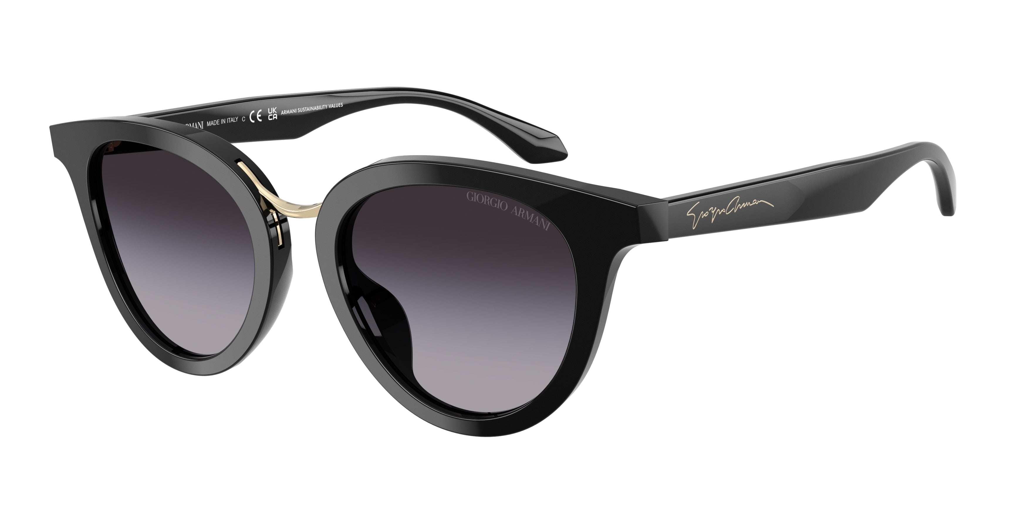 GIORGIO ARMANI AR8252U 50178G 49