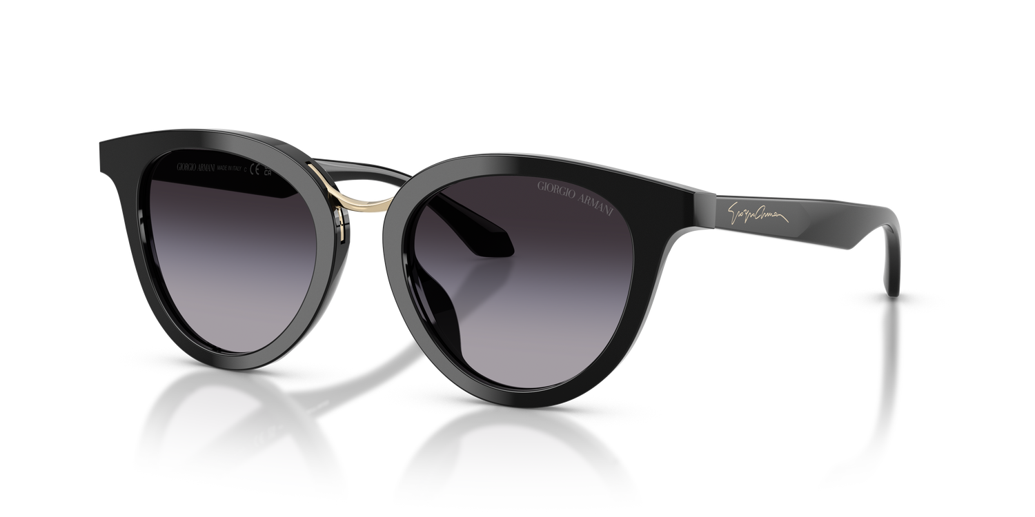 GIORGIO ARMANI AR8252U 50178G 49