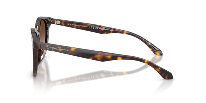 GIORGIO ARMANI AR8252U 612413 49