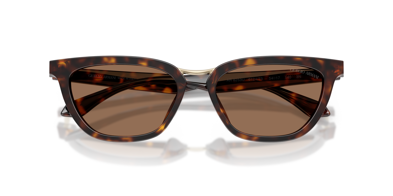 GIORGIO ARMANI AR8253U 612473 54