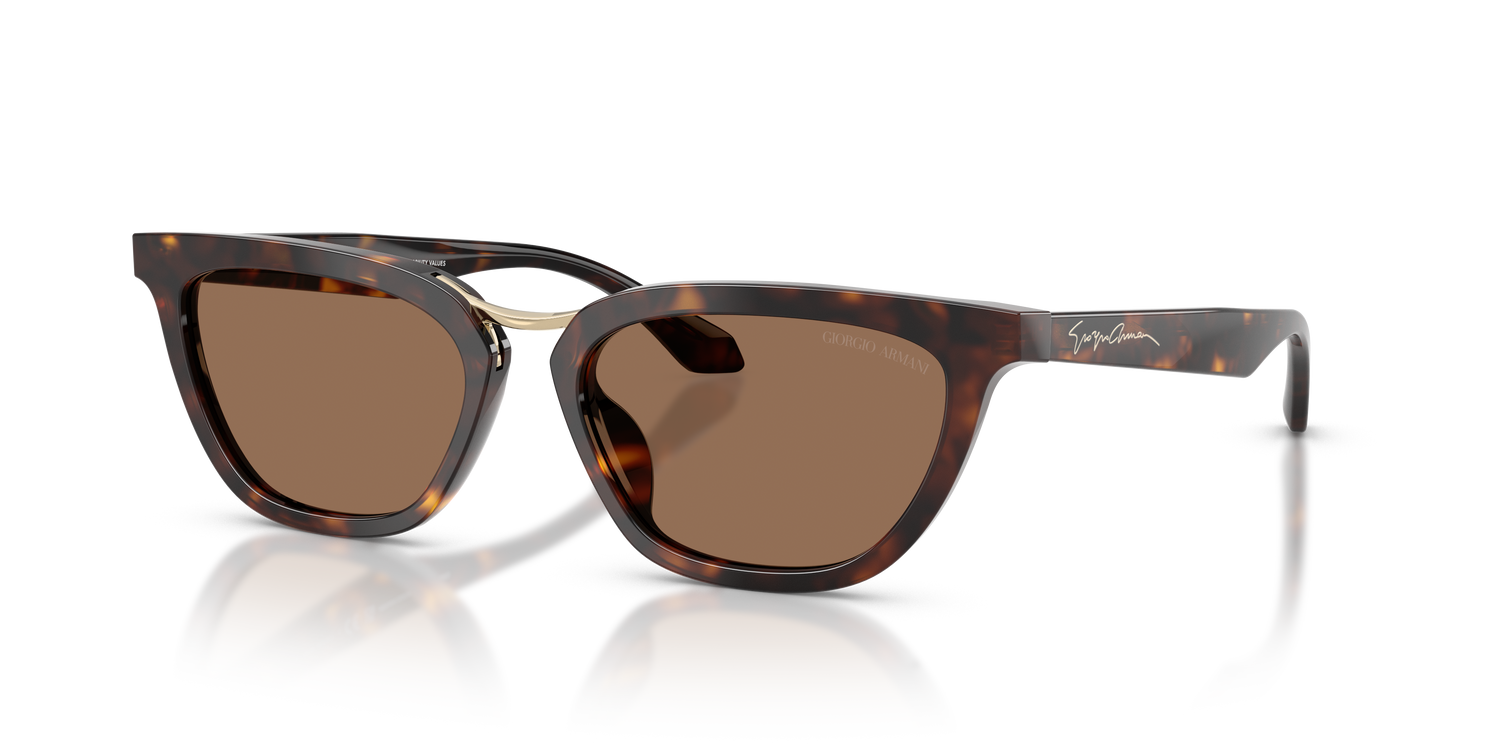 GIORGIO ARMANI AR8253U 612473 54