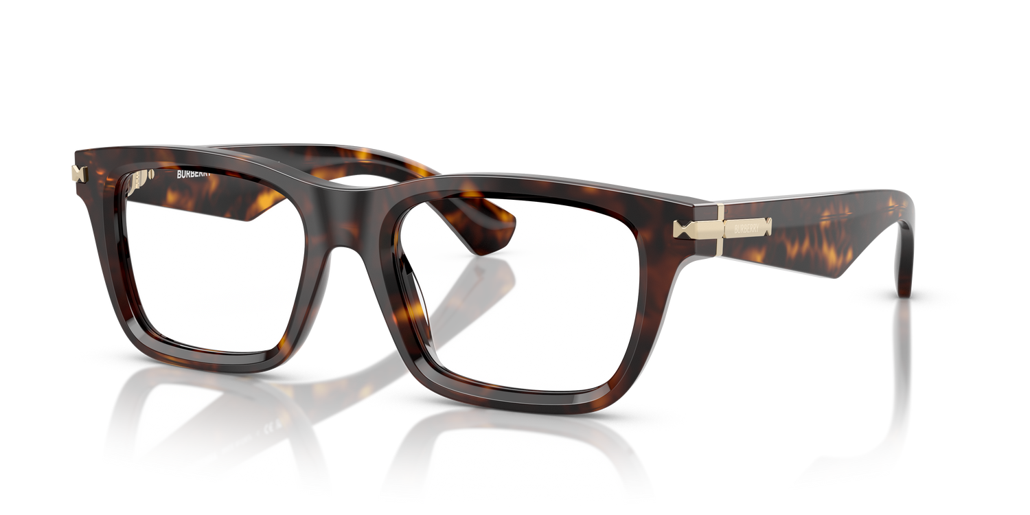 Burberry BE2419 3002 51