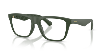 Burberry BE2432U 4170 53