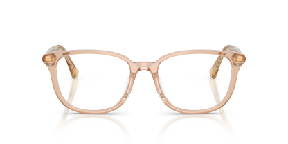 Burberry BE2434D 4175 53