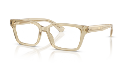 Burberry BE2453 4226 55