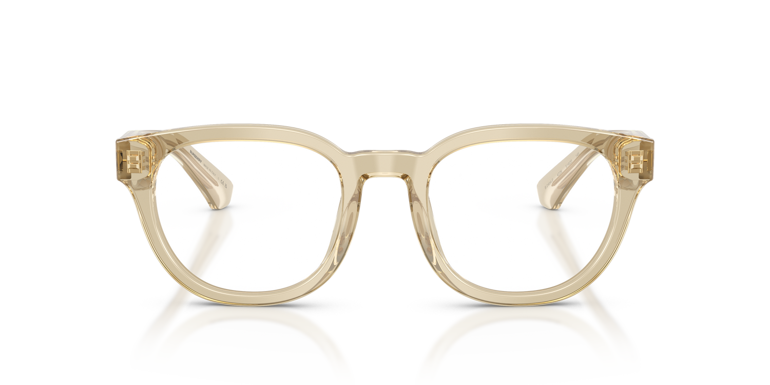 Burberry BE2454 4226 49