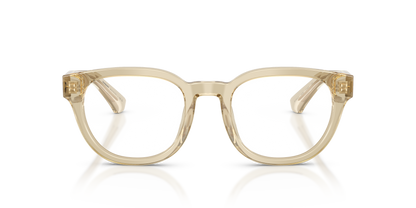 Burberry BE2454 4226 49