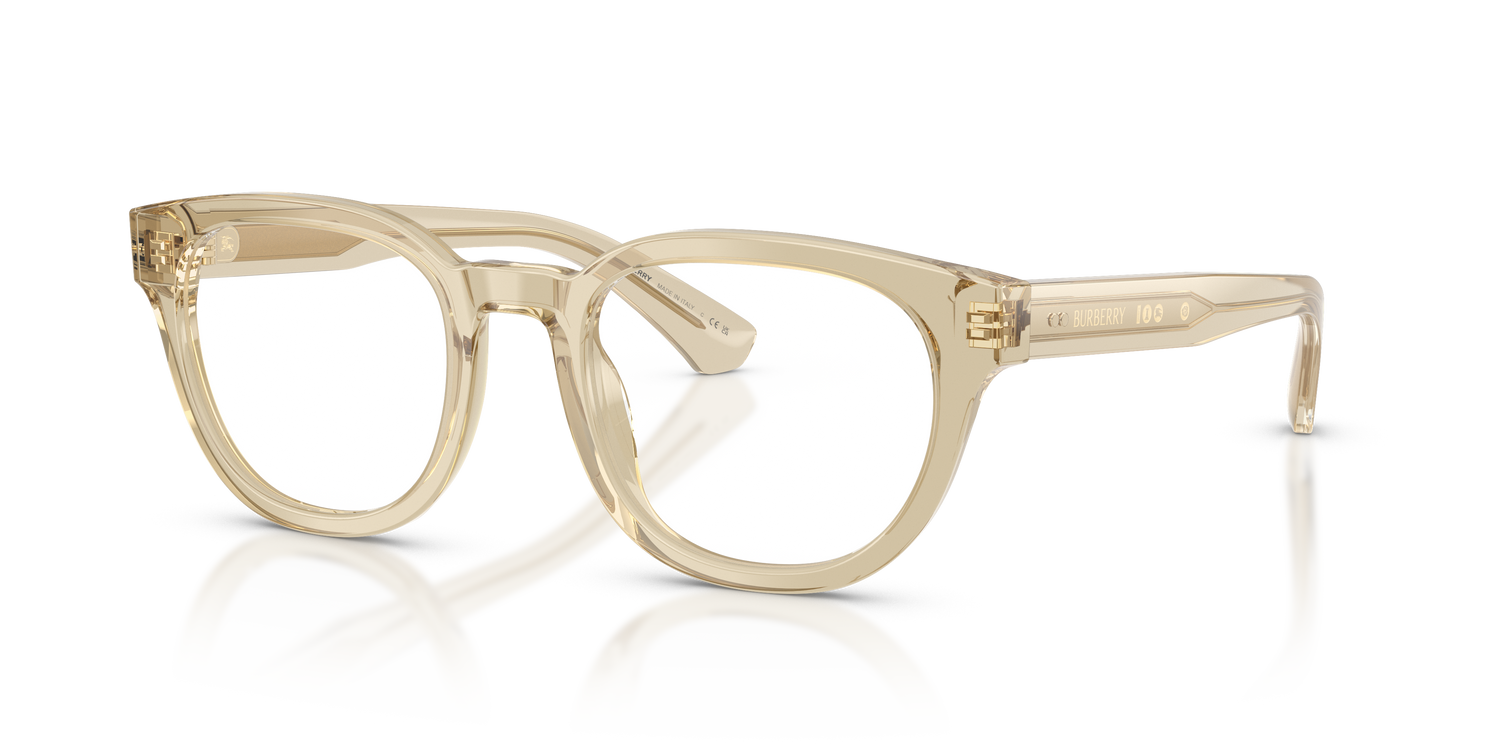 Burberry BE2454 4226 49