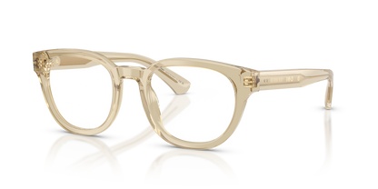 Burberry BE2454 4226 49