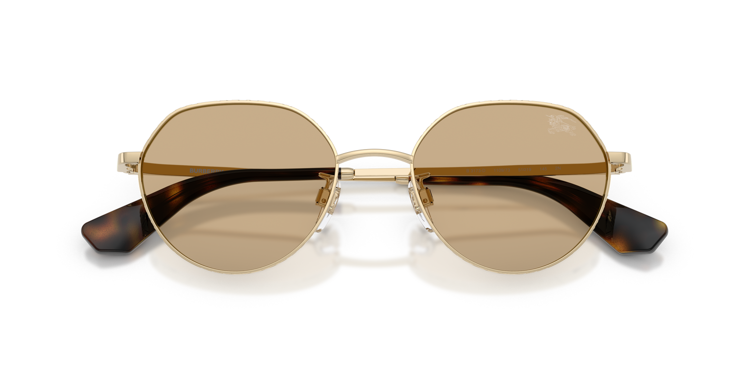 Burberry BE3173D 110973 51