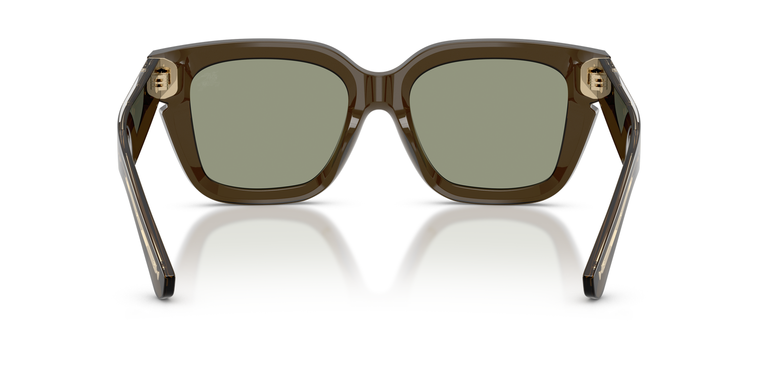 Burberry BE4453 3010/2 54