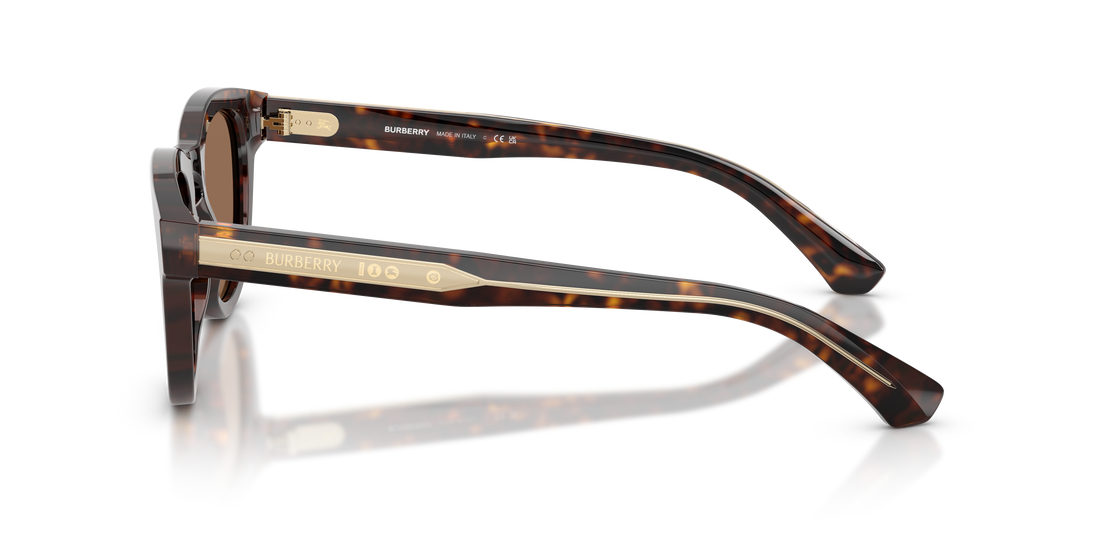 Occhiali da sole burberry be4477 420573 marron pantos masculino taglia 48mm - Vista dettagliata