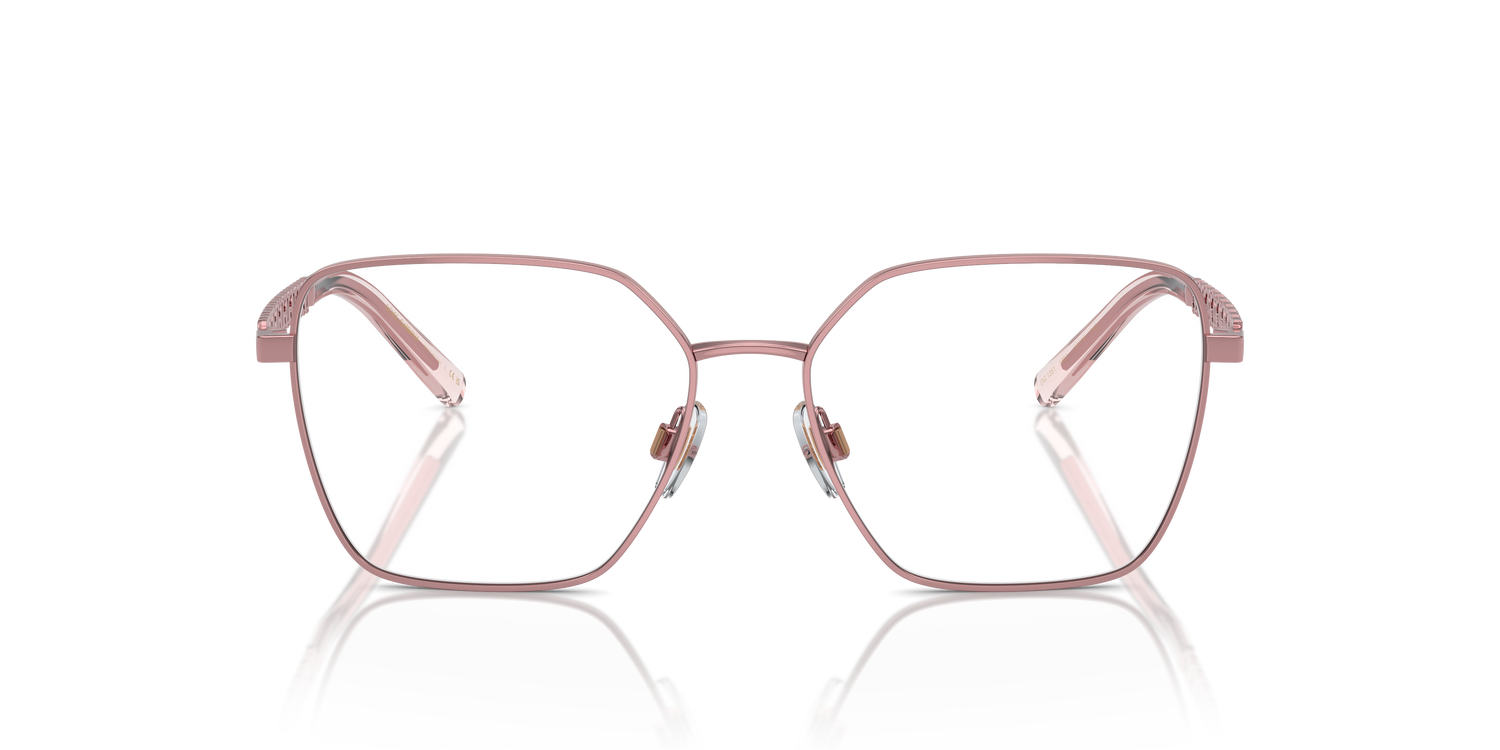 DOLCE &amp; GABBANA DG1351 1361 54