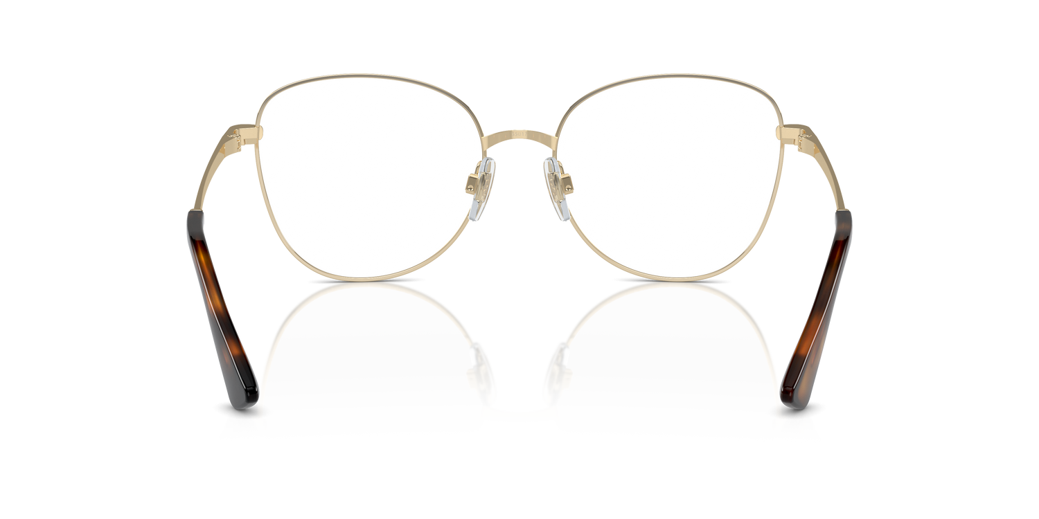 DOLCE &amp; GABBANA DG1355 1365 55