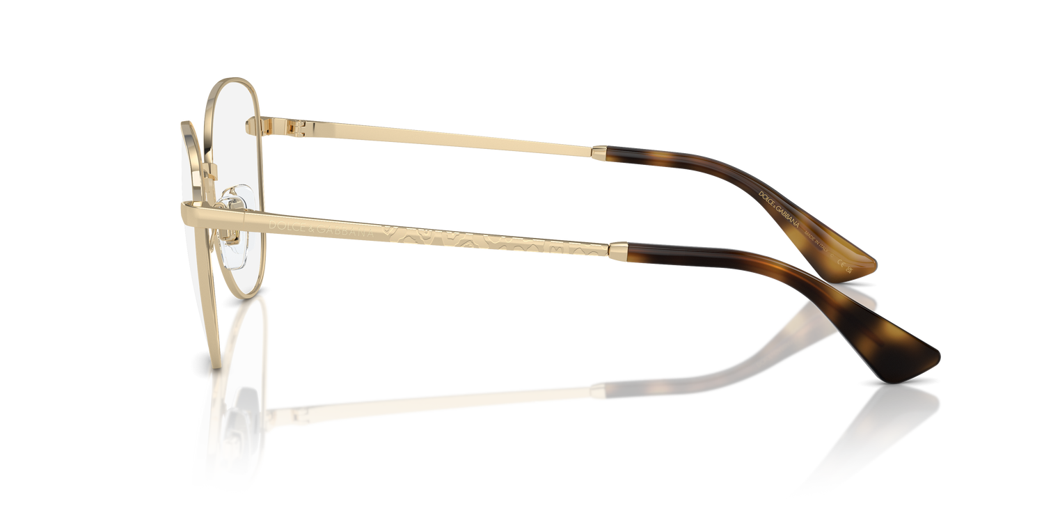 DOLCE &amp; GABBANA DG1355 1365 55