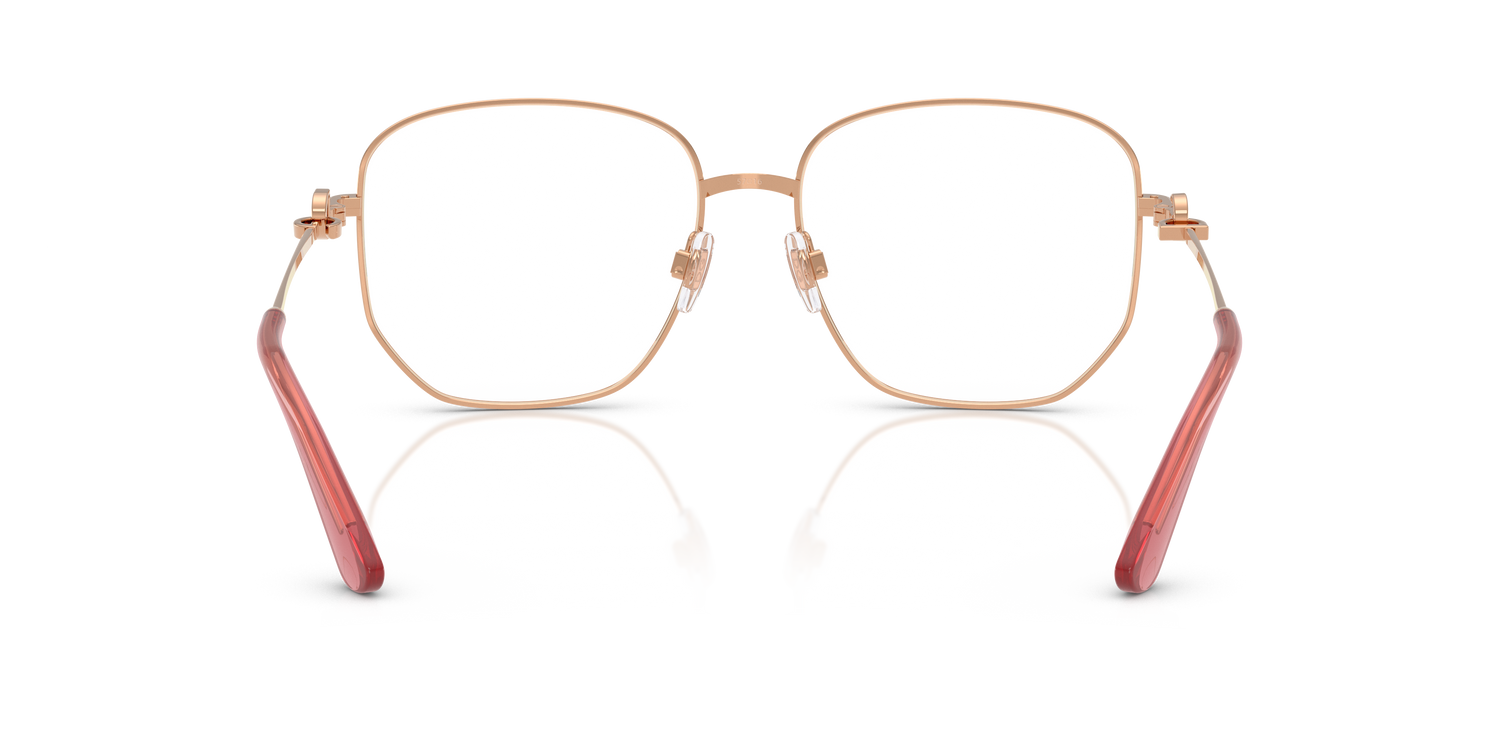 DOLCE &amp; GABBANA DG1356 1298 55