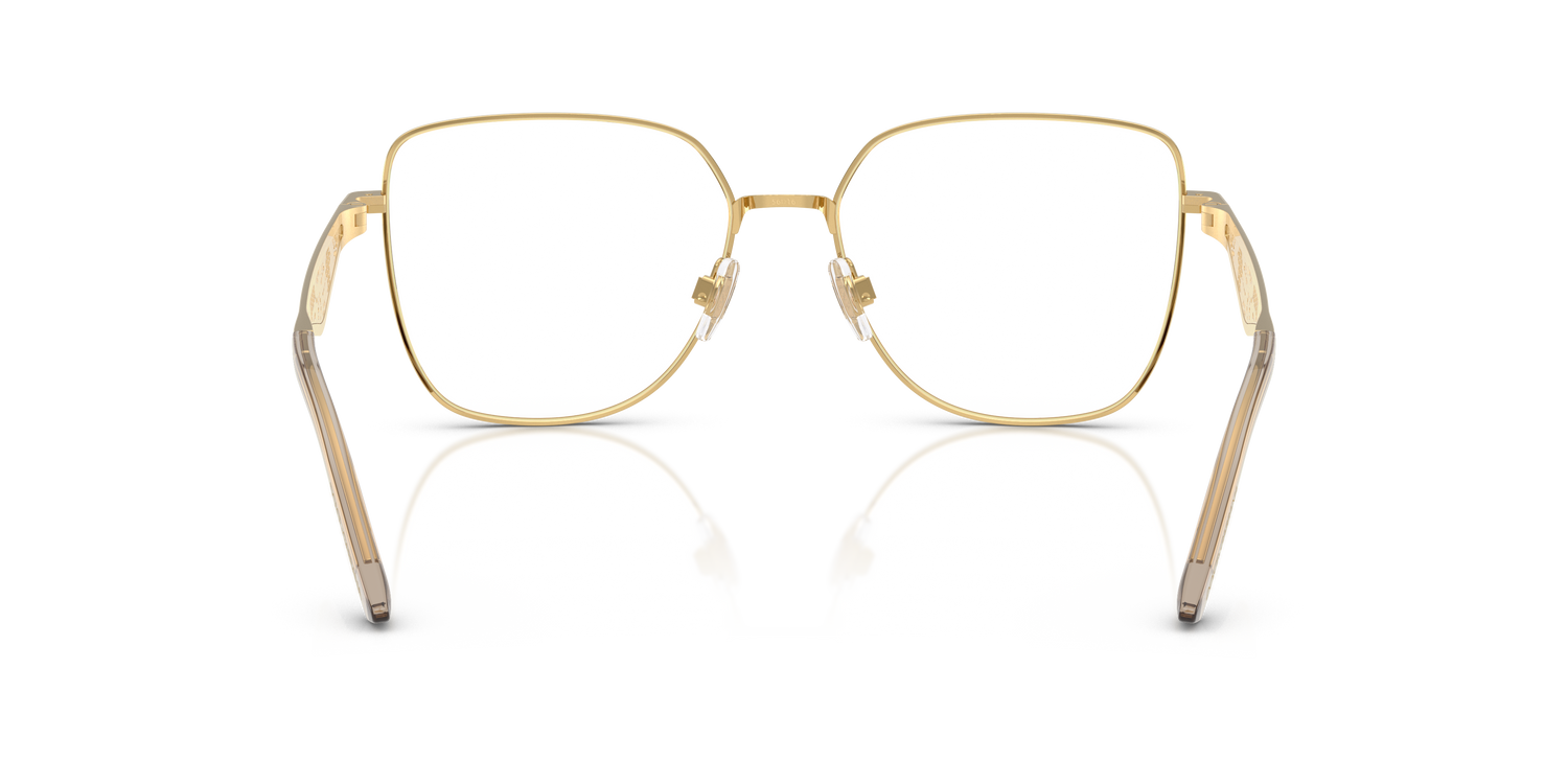 DOLCE &amp; GABBANA DG1358 02 54